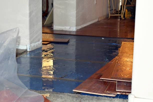 Professional Sewage Cleanup technician working in Higgins Lake, MI